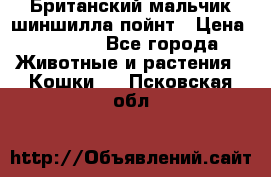 Британский мальчик шиншилла-пойнт › Цена ­ 5 000 - Все города Животные и растения » Кошки   . Псковская обл.